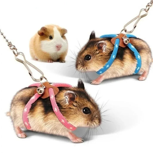 Harness & Leash Set