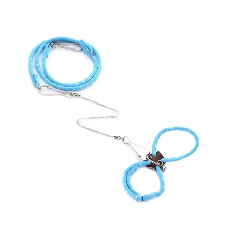 Harness & Leash Set