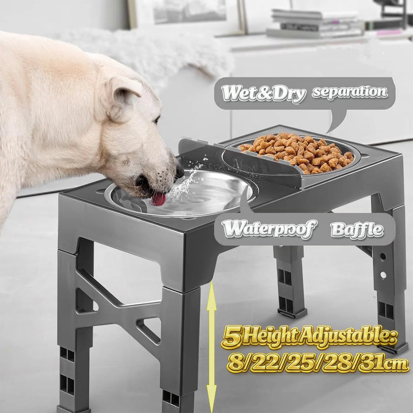 Elevated Dog Bowl