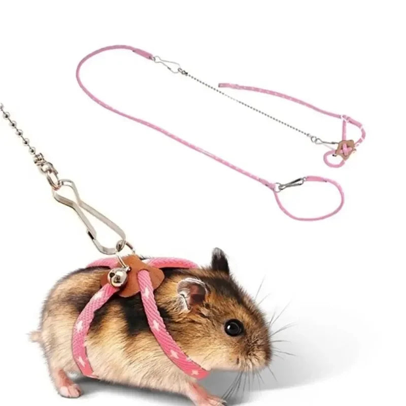 Harness & Leash Set