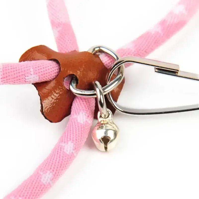 Harness & Leash Set