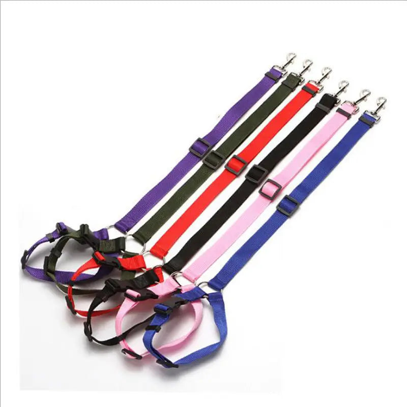 Pet Seat Belt