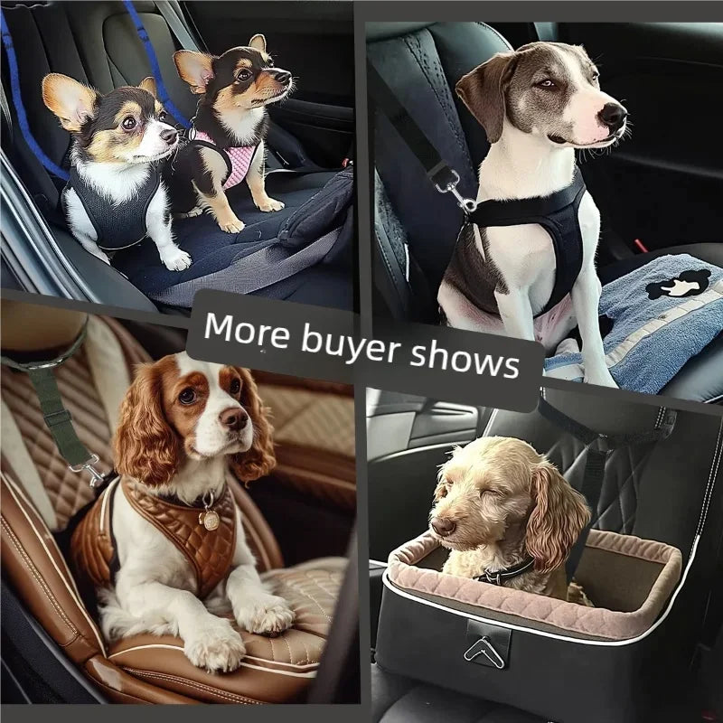 Pet Seat Belt