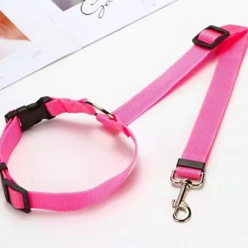 Pet Seat Belt
