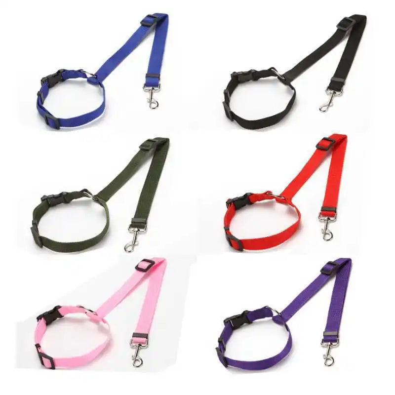 Pet Seat Belt