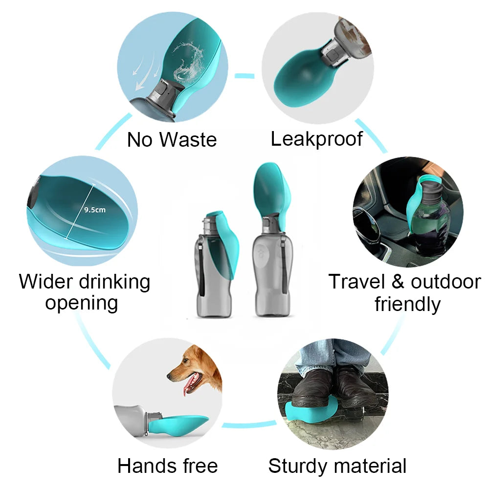 Pet Water Bottle