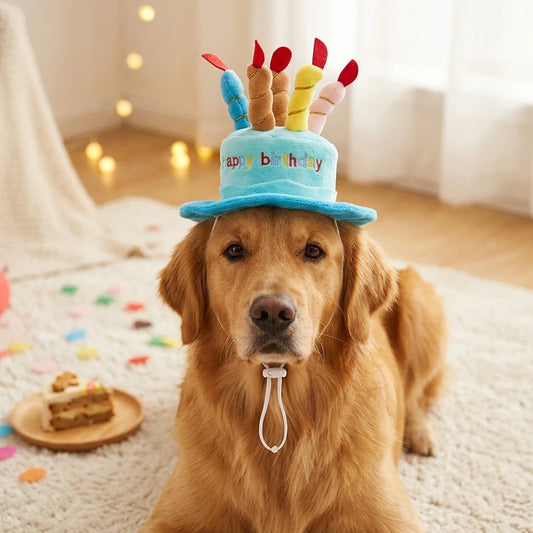 Birthday Hat Set