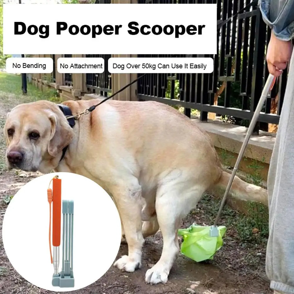 Poop Scoop