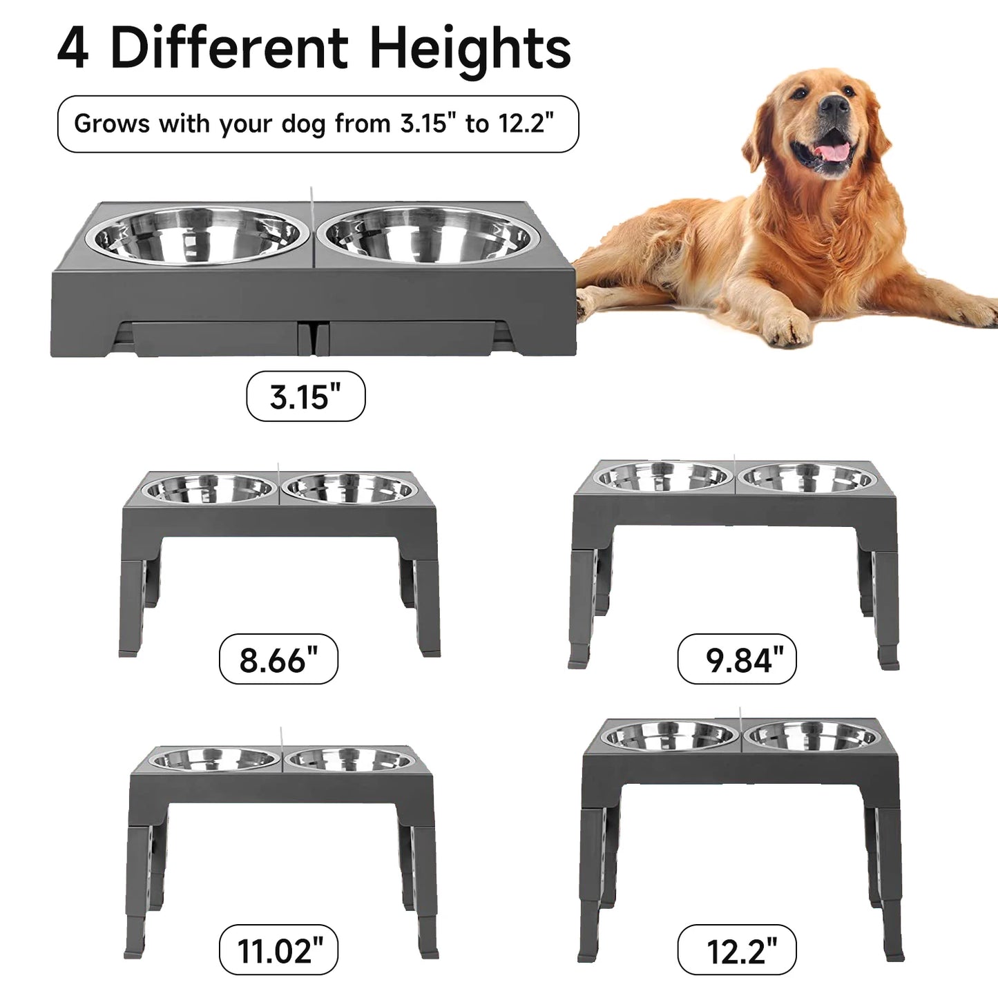 Elevated Dog Bowl