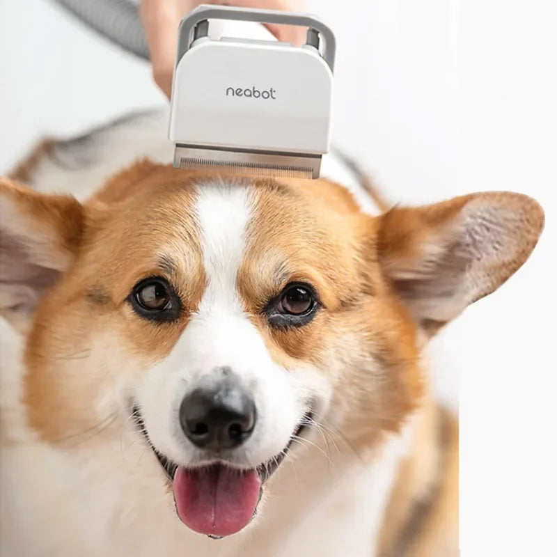 Pet Hair Trimmer