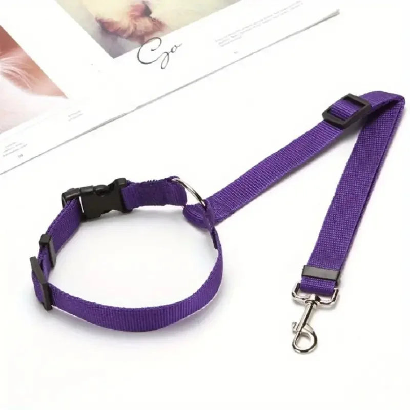 Pet Seat Belt