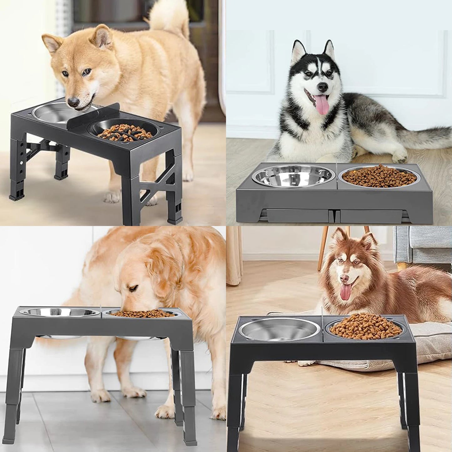 Elevated Dog Bowl